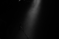 The-New-Roses_Musikzentrum_4202-20221125