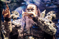 20230502_Lordi_H_TG_14