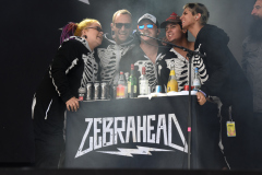 Zebrahead_564