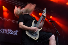 Svartsot-8