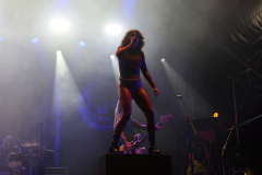 The-Baboon-Show-4