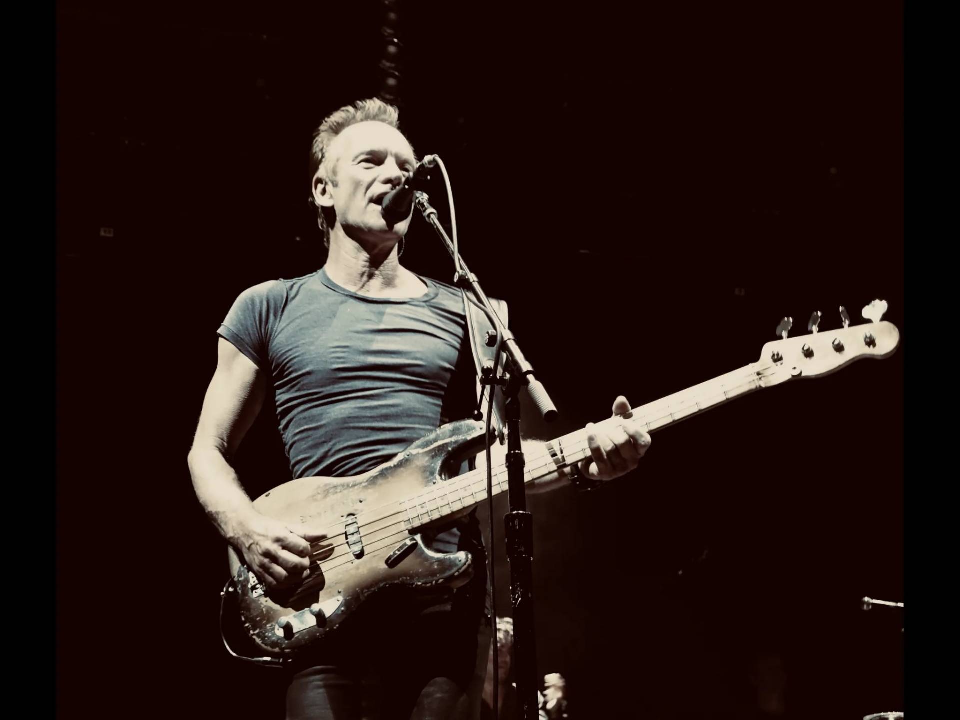 Sting - H.LIVE